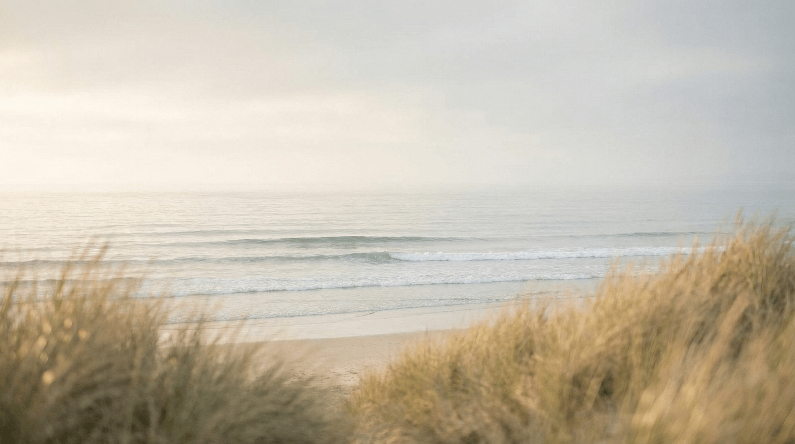 Coastal landscape with natural dunes and ocean